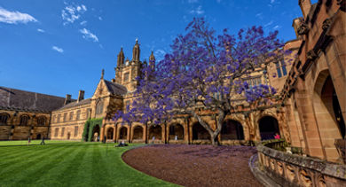 duke 3