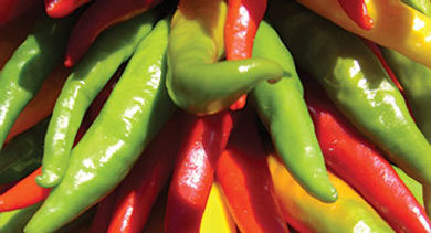 3 Days NM chiles