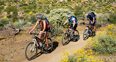 Arizona mountain and desert trail Arizona mountain and desert trail