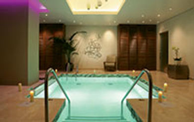 Bellagio's wealth of spa offerings
include the relaxing Watsu Room