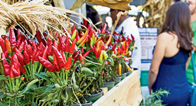 Farmers markets Sacramento Farmers markets Sacramento