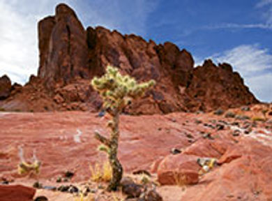 Beyond the glitz and glamour
of the Strip, there are plenty of
outdoor experiences