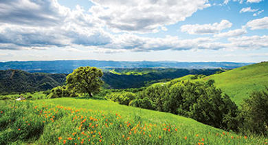 Mount Diablo in Concord countryside