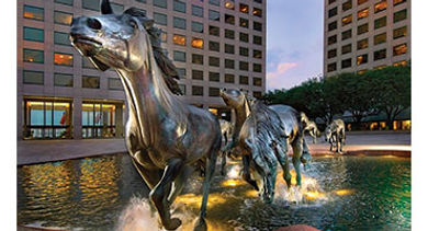 Mustangs of Las Colinas