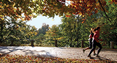 Wine region trail Wine region trail
