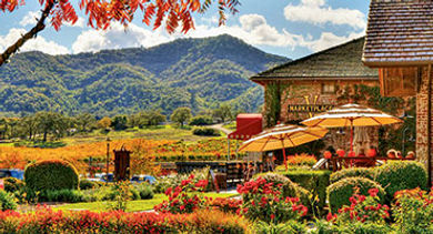Fall in Napa Fall in Napa