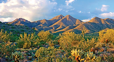 Scottsdale desert sky