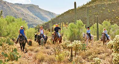 Horseback riding in Tucson