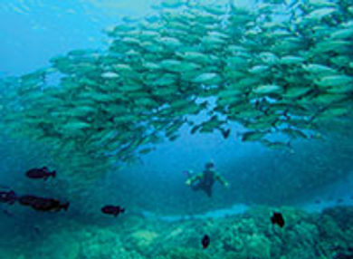 Outdoor and underwater activities,
inclduing snorkeling, are a must
in Hawaii