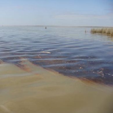 Oil Spill (TN)