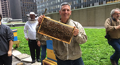 Andrew Cote beekeepers