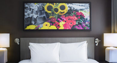 Hyatt Chelsea New YOrk Hyatt Chelsea New YOrk