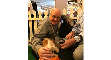 Paws for Break IMEX