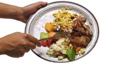 food waste - 370