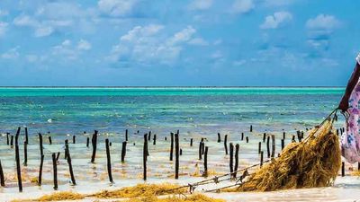 Zanzibar is an ideal add-on to a Kenya or Tanzania safari. // © 2013 Bob Demyan 3