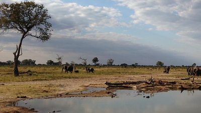 3 Top Luxury Safaris in Zimbabwe