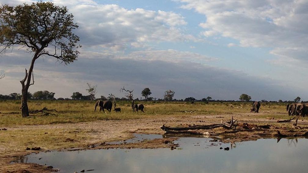 Luxurysafari_feature