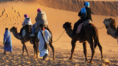 Sunrise camel rides in the Sahara desert // © 2015 Mark Chesnut
