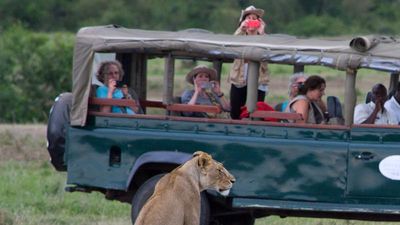 Less crowds in Africa’s safari countries means closer and more private experiences at national parks and conservancies. // © 2014 Mindy Poder
