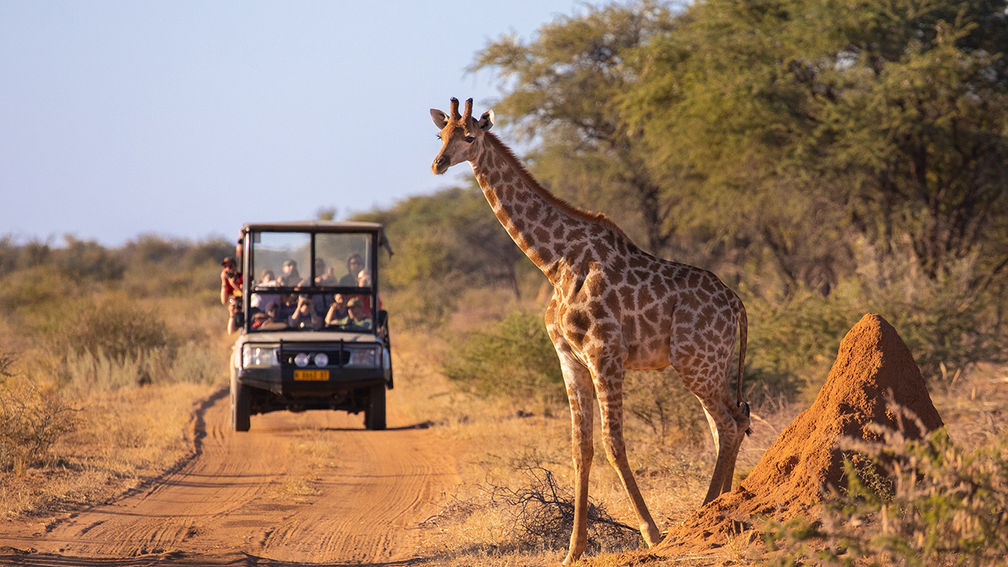 African Safari Trends for 2024 Include Higher Budgets, Sustainable Travel  and Beach-Safari Combos