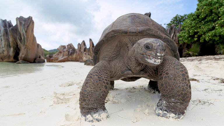Seychelles Reopening_PHOTO2
