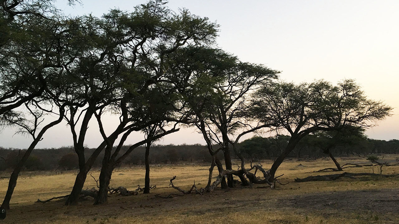 Many tourists continue to visit Hwange National Park for game drives.