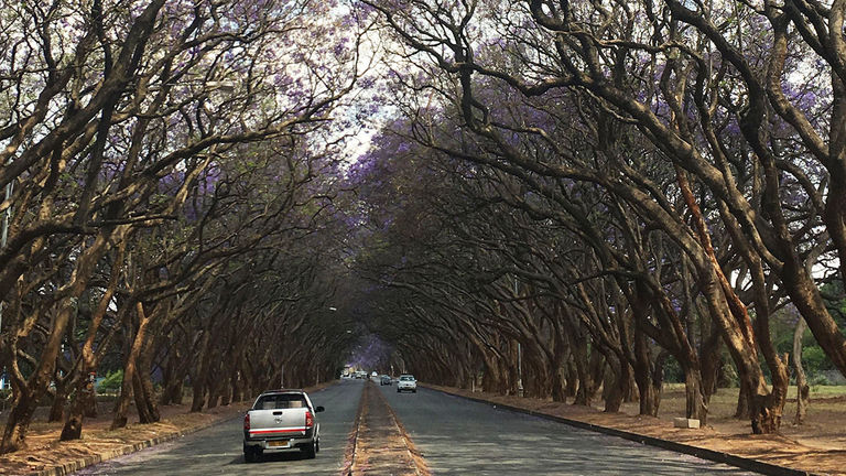 The coup took place in the country’s capital, Harare, which isn’t as popular for tourism.