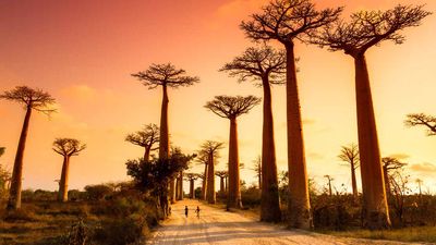 atimadagascar