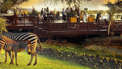 The Royal Livingstone’s unfenced location adjacent to Victoria Falls is also home to wild animals including zebras and impalas. // © 2013 The Royal Livingstone F