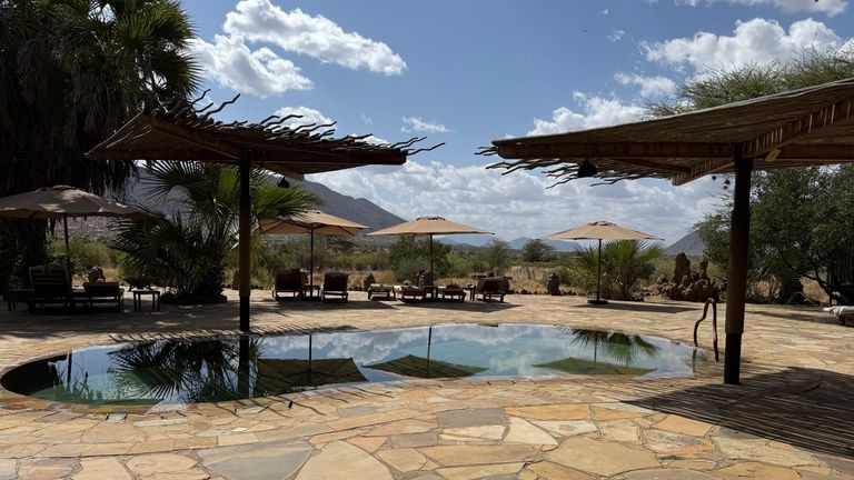 The pool is a perfect place to spend the hottest hours of the day, while still watching for wildlife.