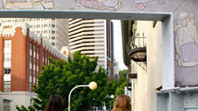Tour Operators Expand Group Travel Offerings