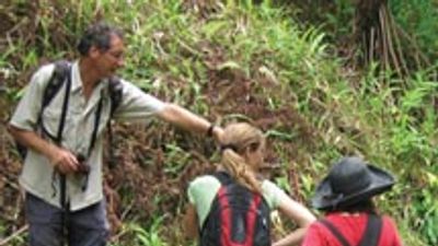 Fave Five Benefits of Tour Op Travel