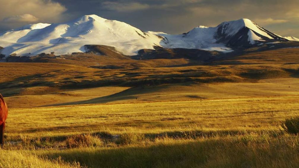 G Adventures’ new Hidden China and Inner Mongolia tour takes visitors off the beaten path. // © 2014 Shane Nelson 2