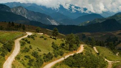 Visitors to Tea Horse Road can sample many varieties of green and black teas. // © 2014 Thinkstock /Successful_Nick