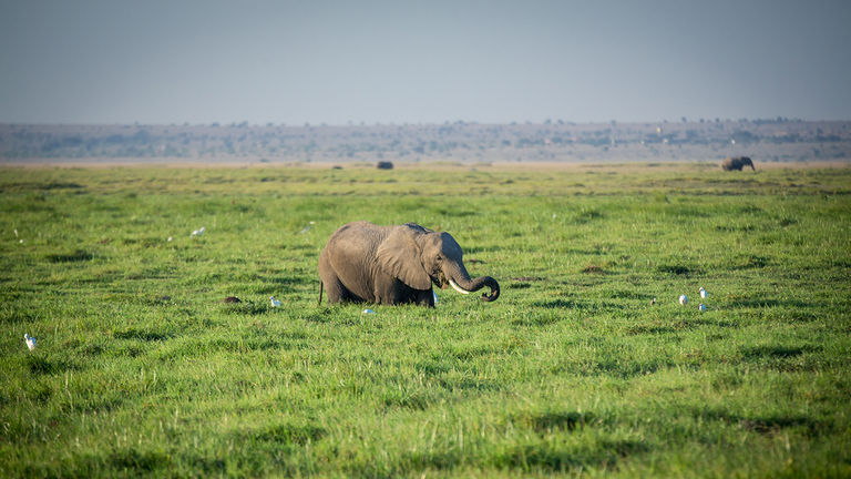 A Kenya safari is part of the portfolio because it can provide a spiritual experience for clients.