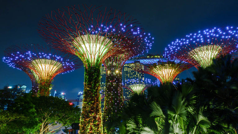 The “Supertrees” in Singapore’s Gardens by the Bay harness solar power and encompass vertical gardens.
