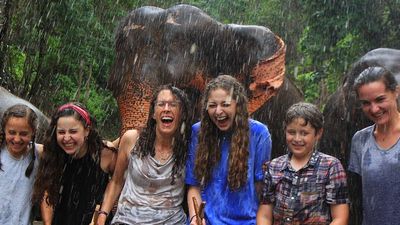 Patara Elephant Farm, which opened 18 years ago, spans 350 acres. // © 2016 Shane Nelson