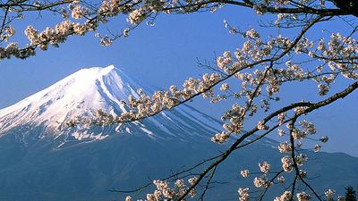 Mount Fuji at springtime // © 2013 Japan National Tourism Organization 3