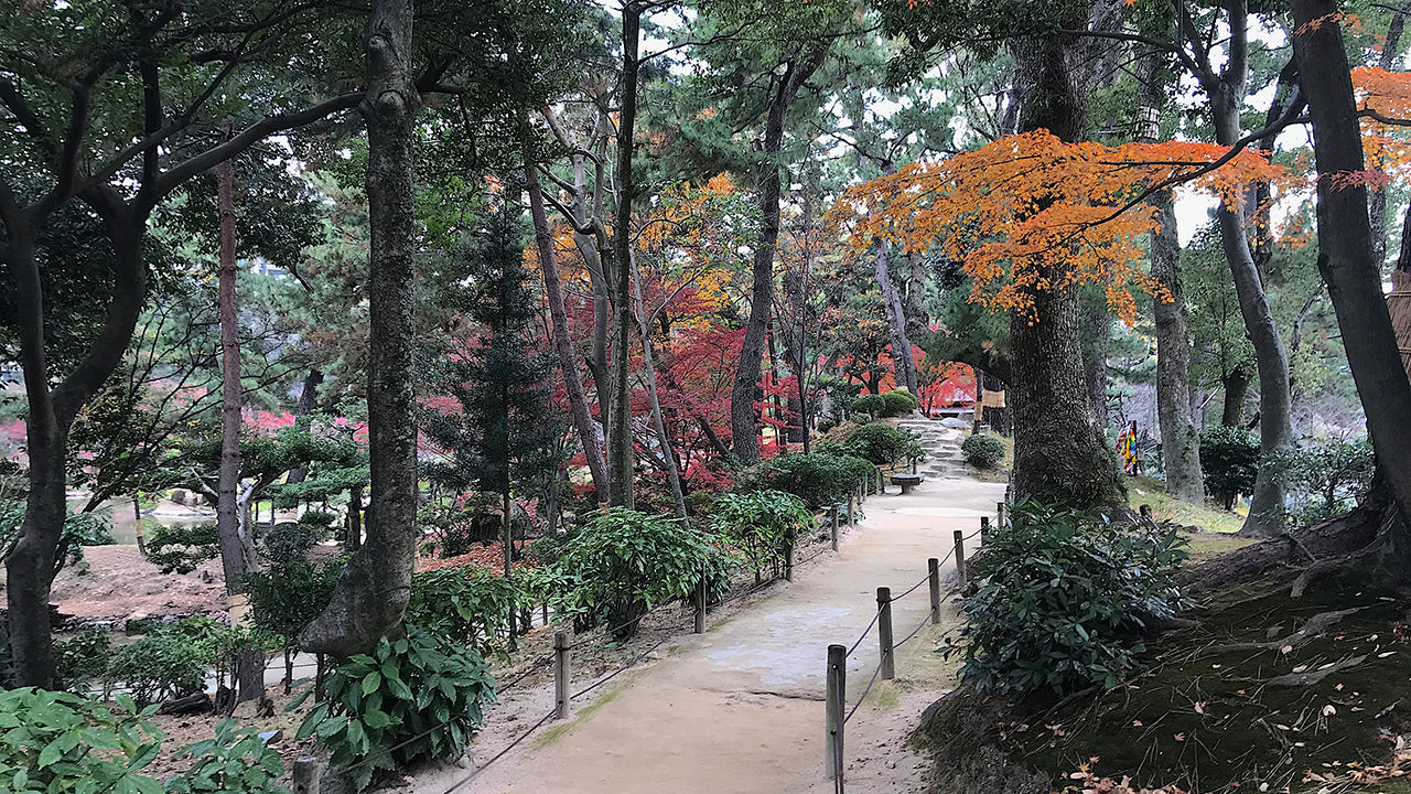 Hiroshima’s Shukkeien Garden is a perfect spot for a picnic, a light hike or bird-watching away from the crowds (face masks are required).