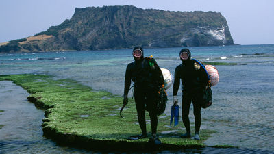 Divers on Jeju Island // © 2015 Journeys International