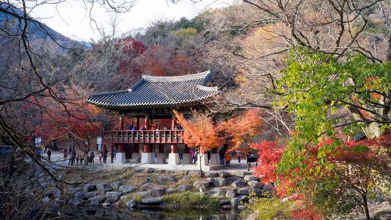 Baekyangsa is the idyllic temple featured in an episode of “Chef’s Table.”