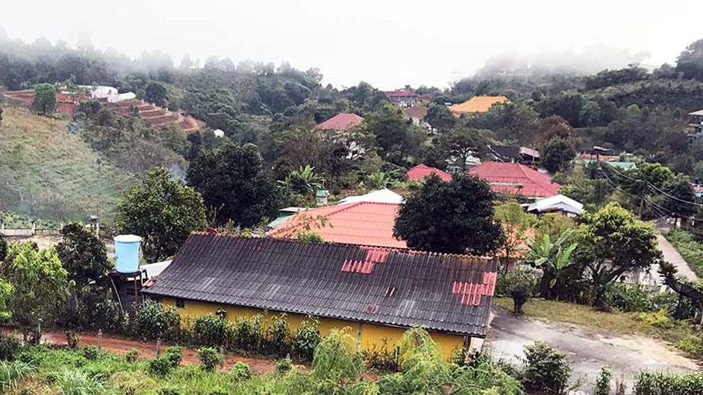 Tea and Chinese History in Thailand's Mae Salong Village