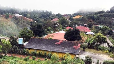 Mae Salong Village is best known for its cultivation of tea. // © 2017 Valerie Chen