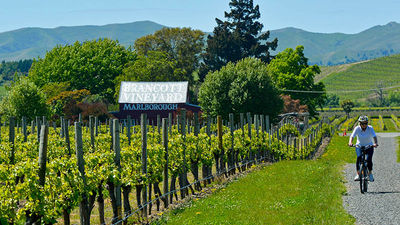 Active clients can take a bike ride through the vineyards. // © 2017 Debbie Olsen