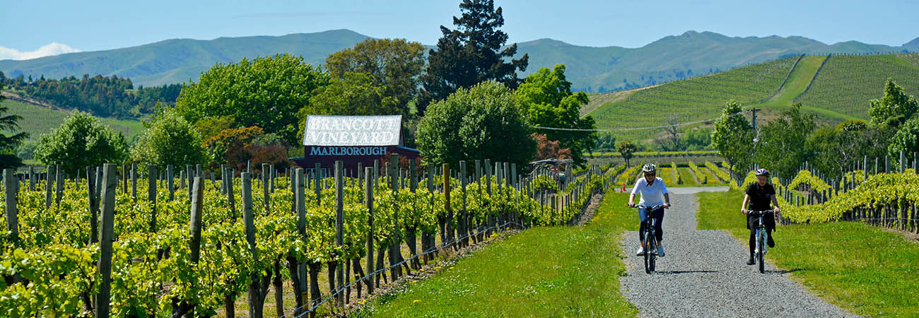 Marlborough new deals zealand