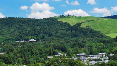 The towering Great Buddha Hall is another sight to be seen when visiting Nara Park. // © 2014 Thinkstock