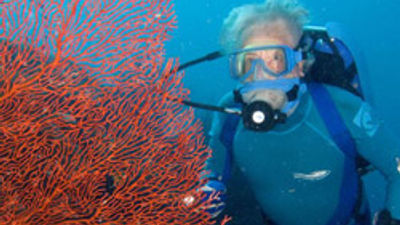 New South Pacific Tours Focus on Ocean Activities