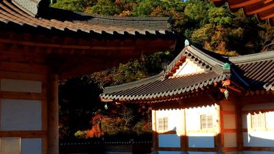 Travelers can experience traditional Buddhist living at Woljeongsa Temple, located in South Korea’s Odaesan National Park. // © 2015 Shane Nelson