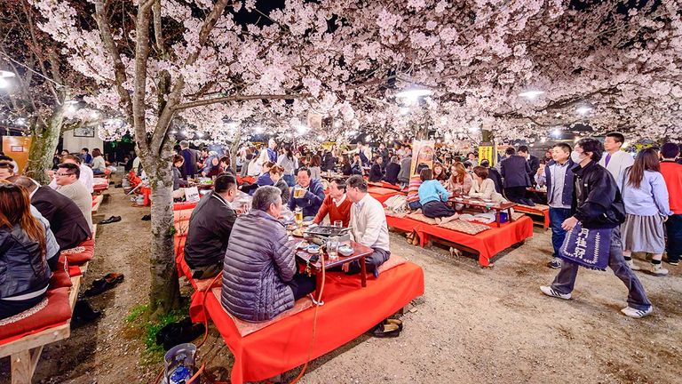 Attend festivals for a taste of Japanese culture.