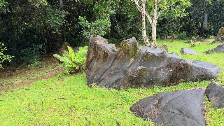 Gabbros are gutter-shaped volcanic rocks formed during Raiatea’s creation.